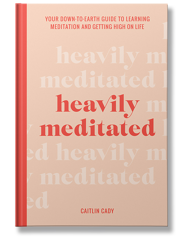 heavily meditated book cover small